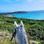 sardinia on horseback beautiful turquise sky and sea