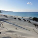 sardinia on horseback riding holiday dune