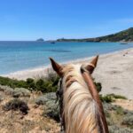 sardinia on horseback riding holiday on the beach