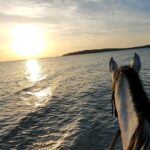 sardinia on horseback riding holiday sunset on the beach