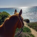 sardinia on horseback riding holiday view